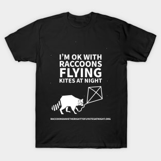 Raccoons have the right to fly kites at night T-Shirt